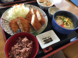 珍しい！豆腐のトンカツ実食！！